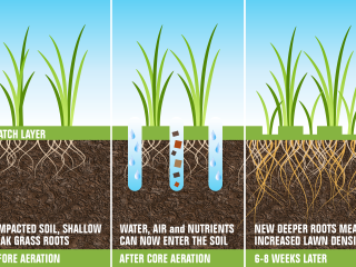 Aeration-Illustration-01