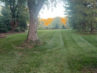 image00008