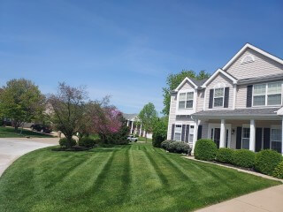 lawn-mowing-1