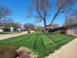 lawn-mowing-photo-2