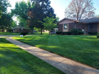 lawn-mowing-photo-4