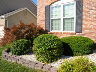 shrub-trimming-banner