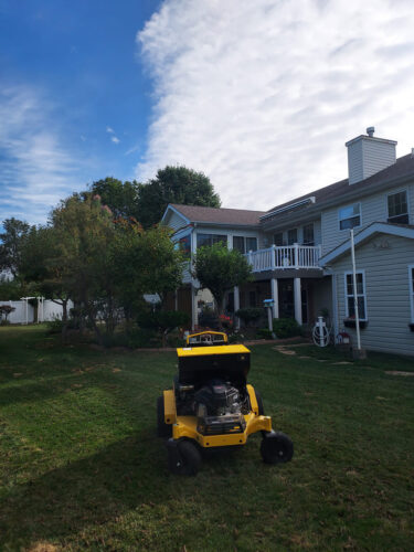 Why You Need Professional Lawn Aeration and Overseeding