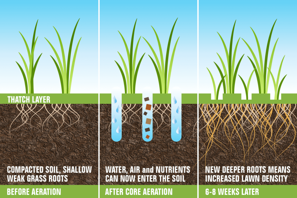 Benefits of Lawn Aeration Services
